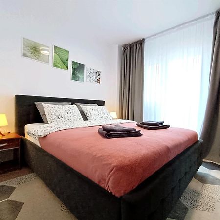 Mid-Term Rental Racadau Apartment Брашов Екстер'єр фото