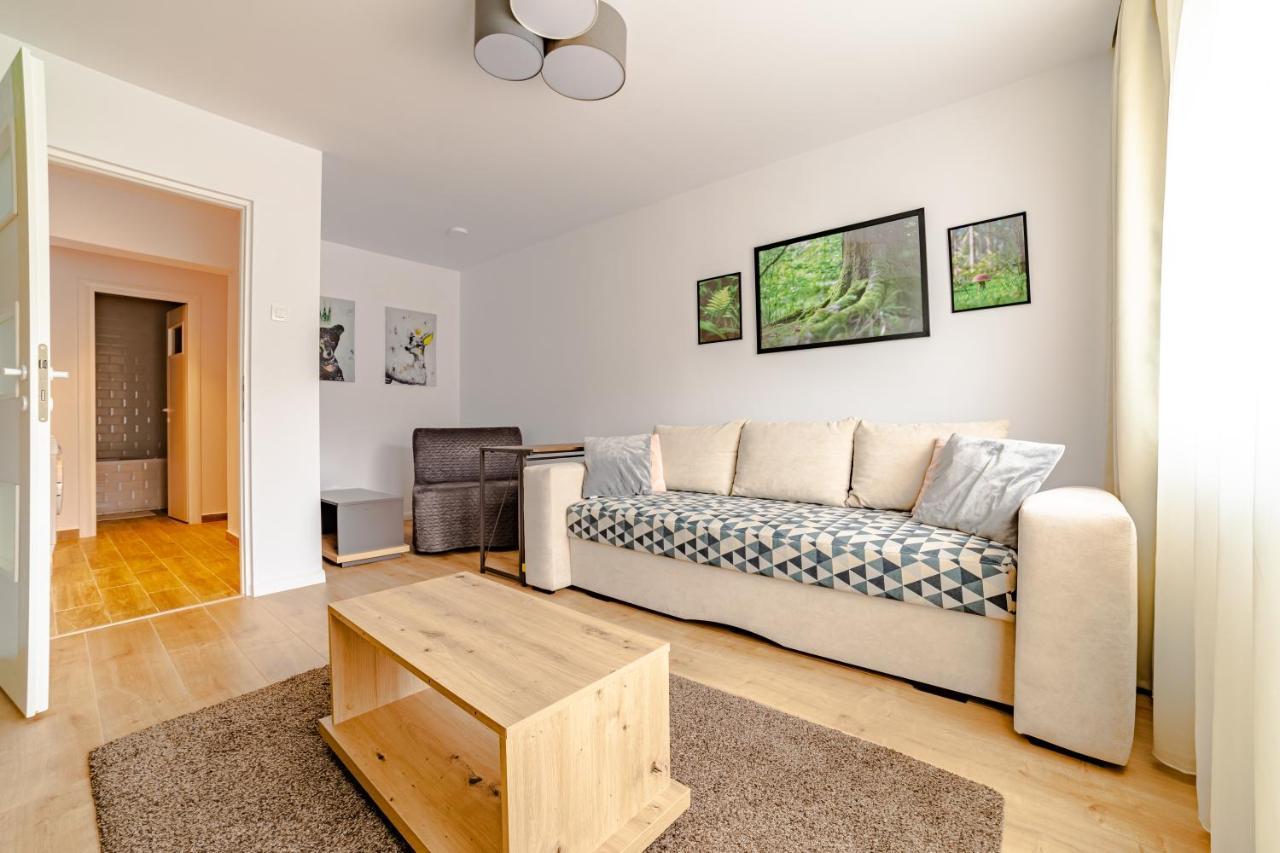 Mid-Term Rental Racadau Apartment Брашов Екстер'єр фото