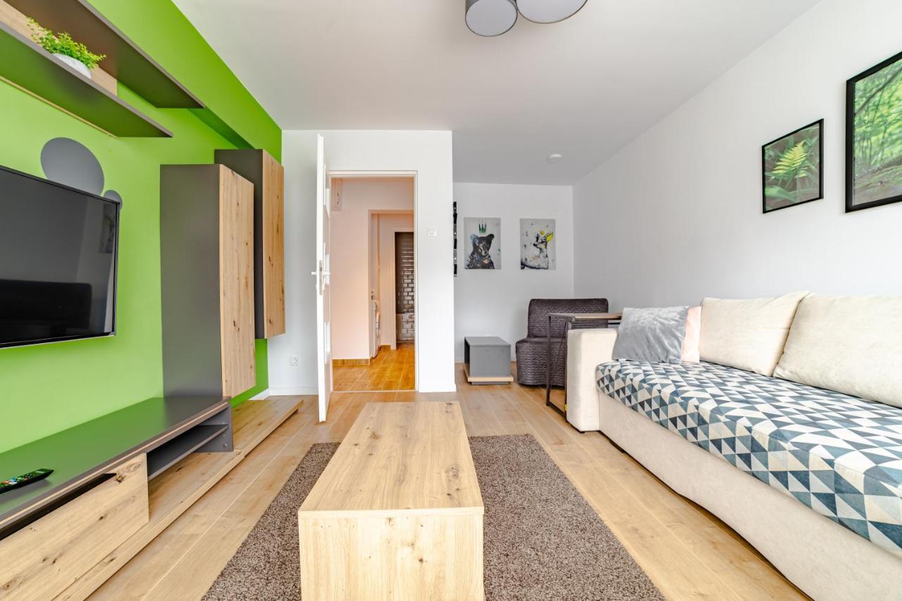 Mid-Term Rental Racadau Apartment Брашов Екстер'єр фото