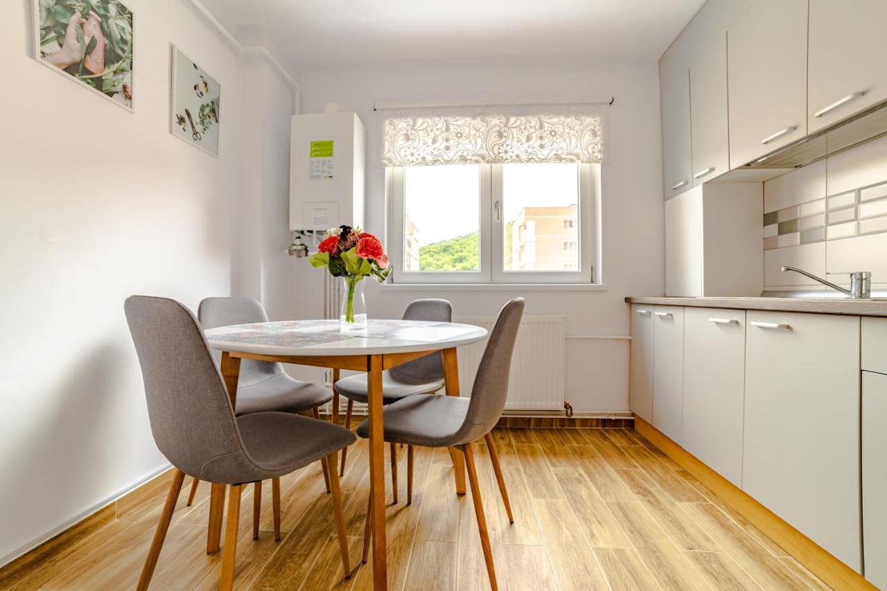 Mid-Term Rental Racadau Apartment Брашов Екстер'єр фото