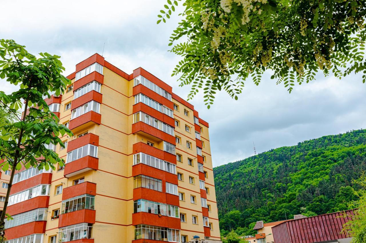 Mid-Term Rental Racadau Apartment Брашов Екстер'єр фото